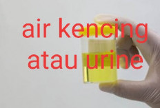 Kesehatan Bisa Diketahui dari Urine, Ini Tanda-tandanya yang Tidak Sehat