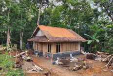 Bedah Rumah Dibangun Tahun Depan, Begini Penjelasan Kepala Dinas Perkim Kabupaten Mukomuko