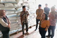 Bapanas Pastikan Stok Pangan di Bulog Aman, Harga di Pasar Ampera Tetap Terpantau