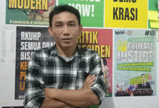  WALHI Bengkulu Kecam Penebangan Cemara Laut di Pantai Panjang, Sebut Langgar Aturan Lingkungan