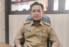 Ongkos Angkut Mencekik Petani, Pemkab Mukomuko Kejar Dana Inpres Rp187 Miliar Perbaiki Jalan Strategis