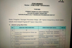 BP Tapera Buka  20 Formasi Lowongan Kerja, Berikut Link, Syarat dan Tahapan Seleksi 