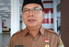 Harga Obat Terpengaruh Dolar, Pemprov Bengkulu Jamin Hak Pasien Tetap Terpenuhi