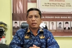 DD Tahap II Tersendat, Desa di Mukomuko Dipaksa Susun Ulang APBDes Demi Selamatkan Kegiatan
