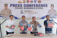 Polisi Ringkus Pelaku Penusukan Empat Pemuda di Puncak HUT Bengkulu Utara
