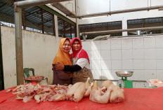 Harga Ayam Potong di BS Meroket, Segini Besarannya Per kg