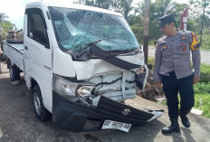 5 Kendaraan  Terlibat Laka Beruntun di Kaur, 3 Orang Terkapar, Begini kejadiannya