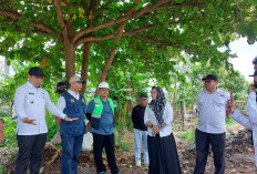 Pemkot Siapkan Zona Khusus Pedagang Ikan dan Ayam di Jalan KZ Abidin II