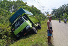 Laka Tunggal, Truk Bermuatan Durian Tergelincir di Jalan Lintas Pino