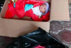 Heboh, Warga Kabupaten Kepahiang Temukan Bayi Perempuan dalam Kardus Depan Rumah 