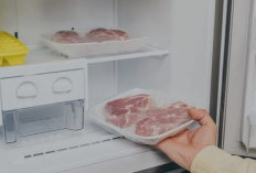 Tips Menyimpan Daging Kurban Di Kulkas Dan Berapa Lama Disimpan Agar Daging Tetap Segar dan Awet