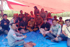 Distan Gerebek Sawah, di Sini Lokasinya