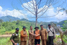 30 Patok Tabat Kelurahan Dipasang, Ini Tujuannya