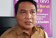 14 Warga Benteng  Positif DBD, Ini Penyebabnya