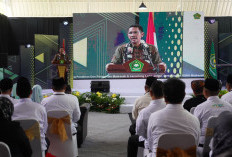 Terbanyak di Bengkulu,  Puluhan Madrasah Mendapat Status Penegerian,  Ini Daerahnya 