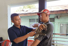  Distankan Rejang Lebong   Gelar Vaksinasi HPR Massal, Ini Tujuannya