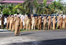 753 ASN Tenaga Kesehatan Belum Gajian