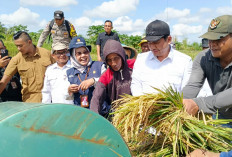 Harga Gabah Stabil, Pemkab Bengkulu Utara Siapkan Perbaikan Irigasi Kemumu