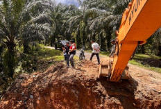 Sidak Proyek Jalan Air Kemang, Dinas PUPR Targetkan Selesai Awal Juli 2026