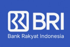  Kabar Baik, Bank BRI Buka Lowongan untuk Berbagai Posisi Perbankan, Cek Syaratnya 