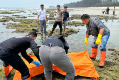 Mayat Laki-laki Tanpa Identitas Ditemukan di  Pantai Panjang, Ini Ciri-cirinya