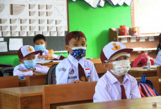 28 Ribu Lebih Anak Terjangkit ISPA, Dinas Kesehatan Provinsi Bengkulu Beberkan Ini Penyebabnya 