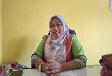 Kasus DBD di BU  Meningkat, Segini Jumlahnya