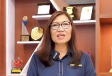 Penerimaan Pajak di Bengkulu Turun, Berikut Penyebabnya