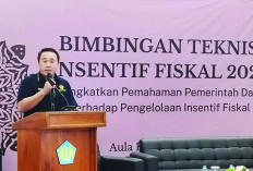 Maksimalkan Kinerja untuk Insentif Fiskal, Besaran Dananya Capai Segini