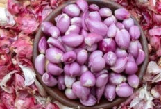 Bukan Limbah Biasa, Ini Loh Khasiat Kulit Bawang Merah Untuk Kesehatan 