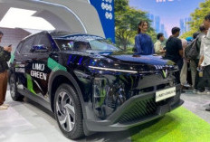 VinFast Limo Green, Siap Jadi ''Mobil Utama'' Keluarga Indonesia