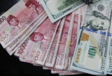 Nilai Tukar Rupiah Hari Ini, Kamis 19 Juni 2025, Kembali Melemah Terhadap Dolar AS