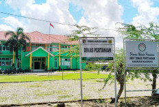 Mukomuko Nol Kasus PMK hingga Awal 2026, Pemkab Siapkan 5.000 Dosis Vaksin Antisipasi