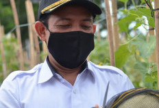 Pemkot Siapkan Gerakan Tanam Buah