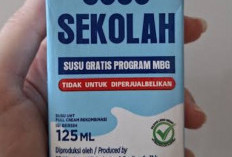 Viral di Media Sosial, Pemerintah Bagikan Susu UHT Khusus Program MBG