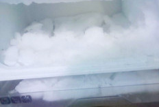 Banyak Bunga Es di Kulkas, Ternyata Ini Penyebab dan Berikut Cara Menghilangkannya