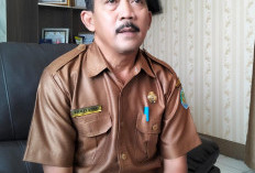  2 SD di Benteng Tanpa Siswa Baru