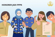 Nasib 7 Honorer Kepahiang Ditangan BKN, Sudah Ajukan Sanggahan ke BKSPDM