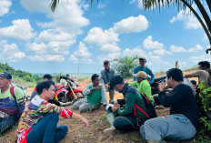 Program Perhutanan Sosial Solusi Bagi Perambah Hutan,Ini Upaya yang Diilakukan KPH Mukomuko