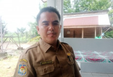  Progres Pengembalian TGR di Benteng   Capai 60 Persen, ini Batas Waktunya 