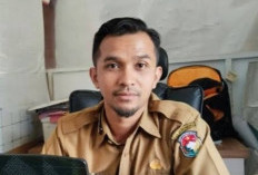 Honorer Lamar CPNS Tak Bisa Tes PPPK, 1.420 Pelamar PPPK di Mukomuko Bersaing