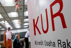  Penyaluran KUR Baru Rp1,35 Triliun, Pemerintah Daerah Diminta Lakukan Ini