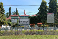  Penggelolaan Kolam Bioflok   di Mukomuko Dibawah Naungan Kopdes