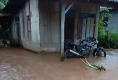 Banjir Juga Melanda BU, Rumah Warga Terendam