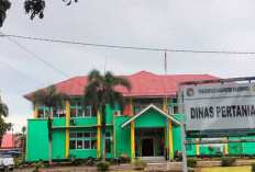  Program Pertanian Terintegrasi   Mulai Dikembangkan di Mukomuko  