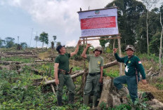  80 Hektare Kawasan TNKS   di Rejang Lebong Dirambah