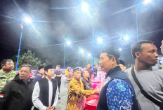 Lampu Penerangan di 3 Titik Jembatan di Kota Bengkulu Diresmikan, Ini Daftarnya