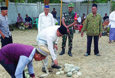 Masjid Jami' Muslim   Kota Padang Dibangun,  Ditargetkan Jadi Pusat Keagamaan