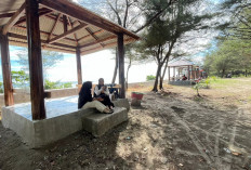 Penataan Pantai Panjang Dinilai Berdampak Positif, Pengunjung dan Pedagang Minta Dilanjutkan