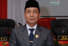Hampir 3.000 Ha Hutan   Lindung Jadi Kebun Sawit, Ketua DPRD BS Soroti Ini